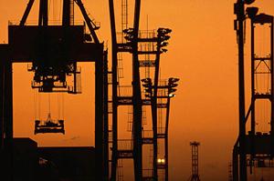 豊富な求人から希望条件で就職先を探す