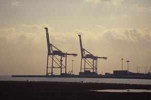 迷惑駐車対策にはこれがおすすめ